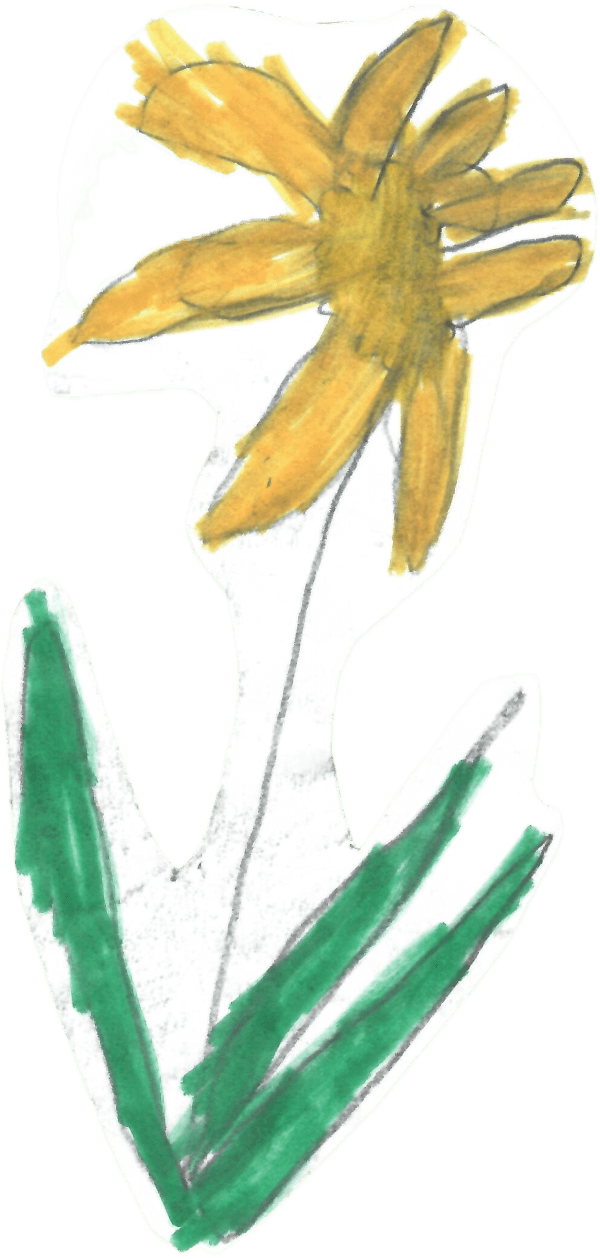 Daffodil